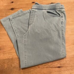 J.Jill Purejill Casual Light Blue Denim Jeans Slim ankle Western Boho Casual XL